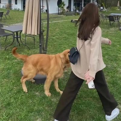 东非探险记